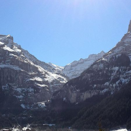 Apartment Chalet Mittelhorn-1 กรินเดลวัลด์ ภายนอก รูปภาพ