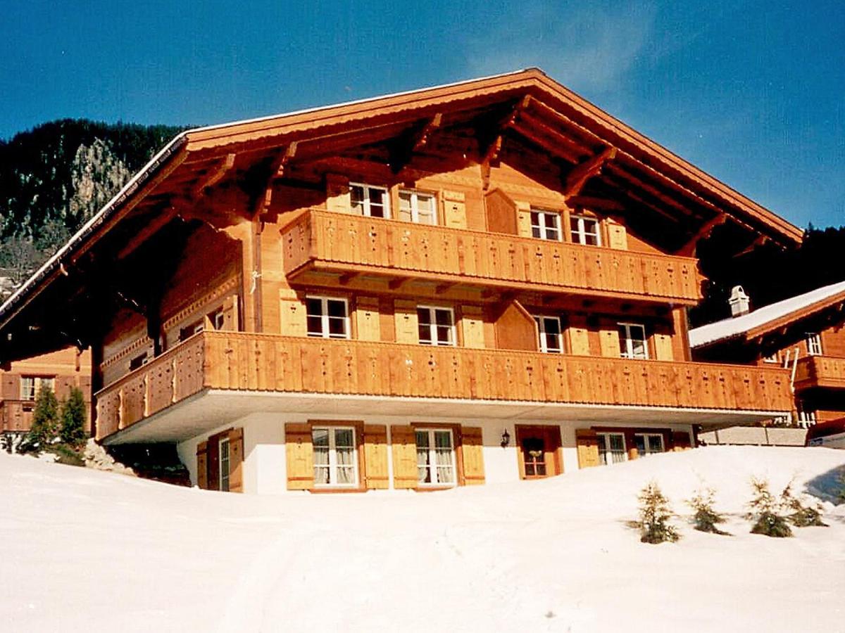 Apartment Chalet Mittelhorn-1 กรินเดลวัลด์ ภายนอก รูปภาพ