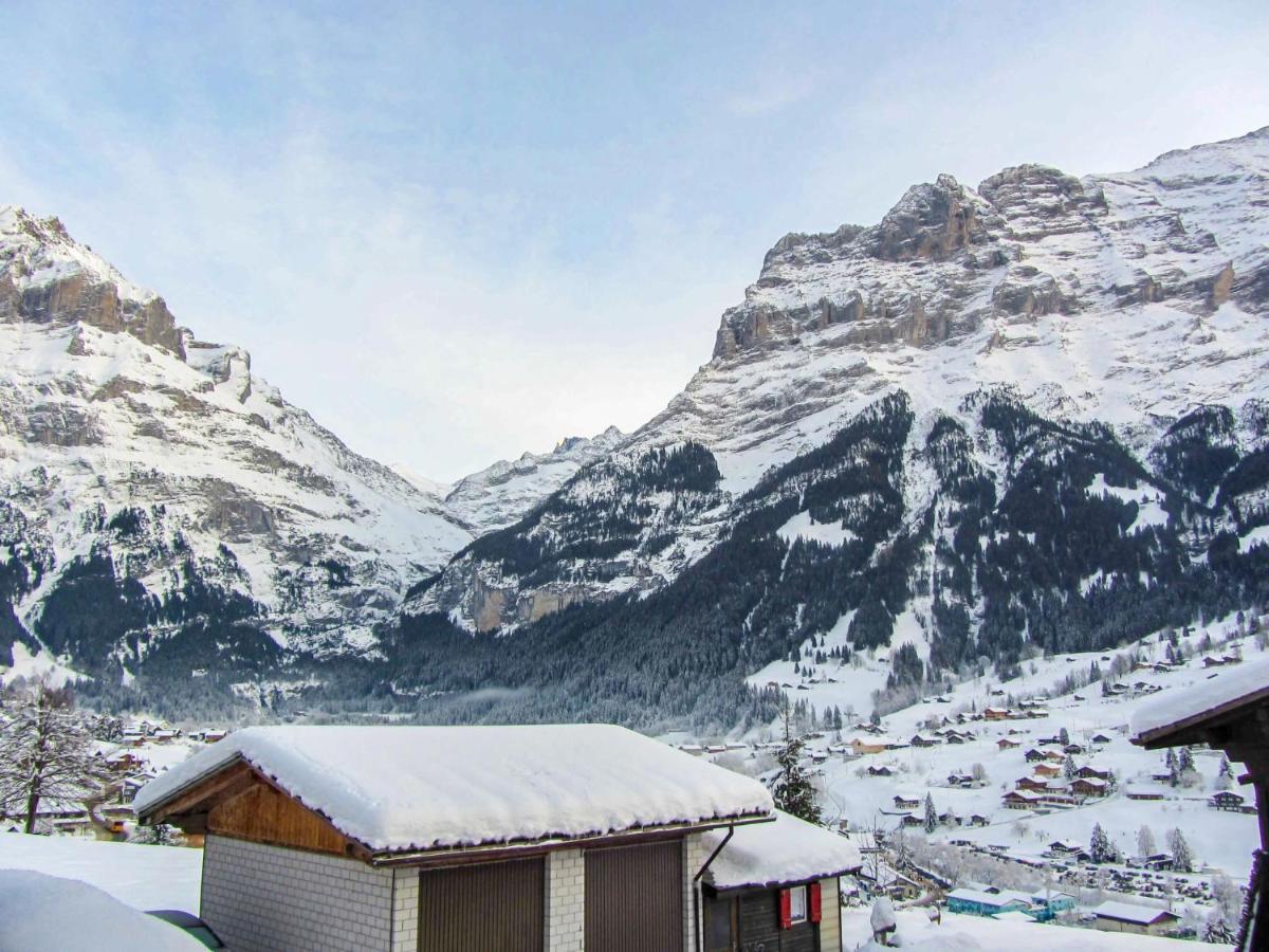 Apartment Chalet Mittelhorn-1 กรินเดลวัลด์ ภายนอก รูปภาพ