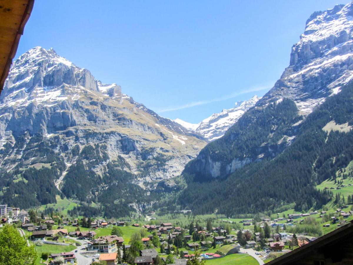 Apartment Chalet Mittelhorn-1 กรินเดลวัลด์ ภายนอก รูปภาพ