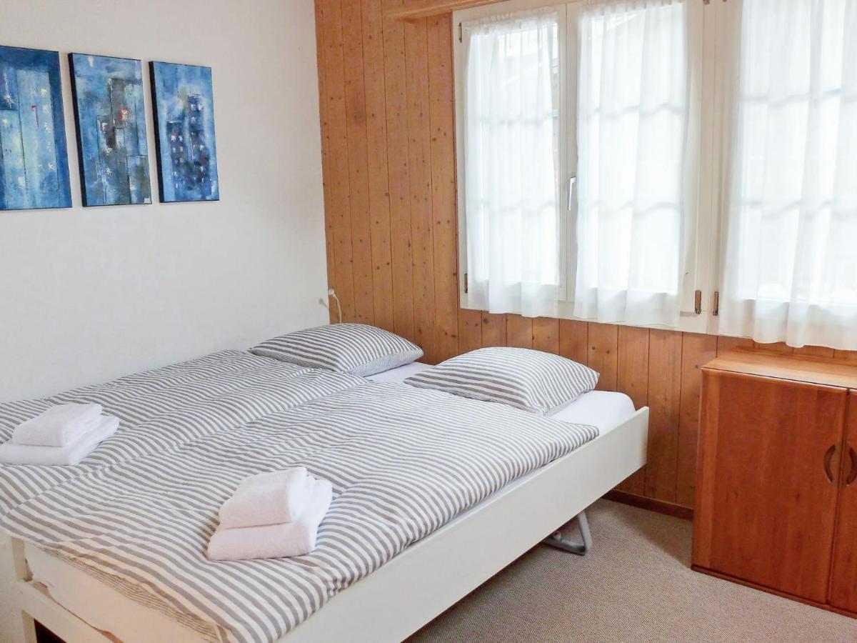 Apartment Chalet Mittelhorn-1 กรินเดลวัลด์ ภายนอก รูปภาพ