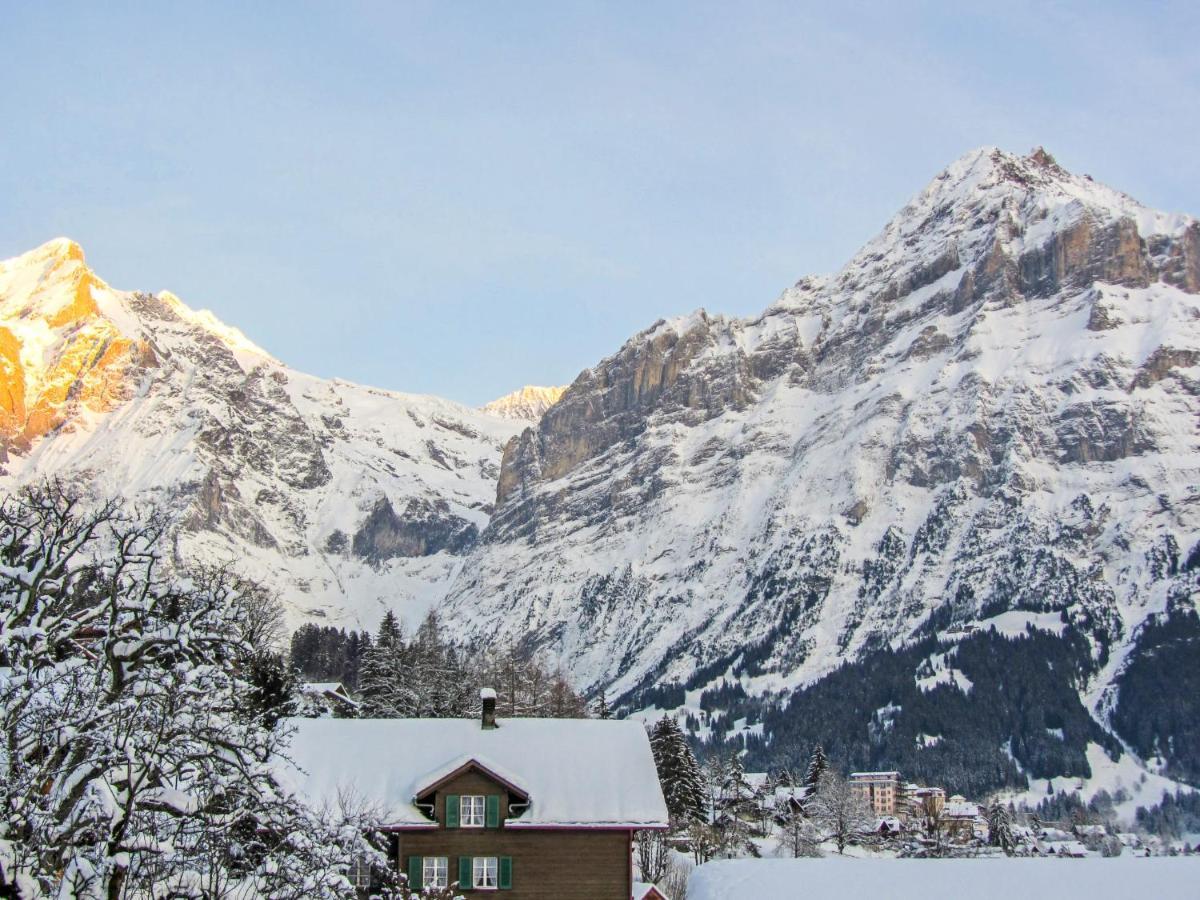 Apartment Chalet Mittelhorn-1 กรินเดลวัลด์ ภายนอก รูปภาพ