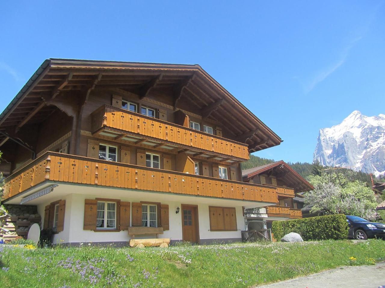 Apartment Chalet Mittelhorn-1 กรินเดลวัลด์ ภายนอก รูปภาพ